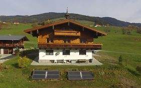 Exquisite Apartment in Mittersill near Ski Area